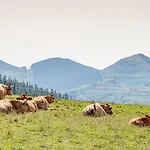 Фермерский дом Astei