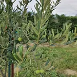 Astei Фермерский дом