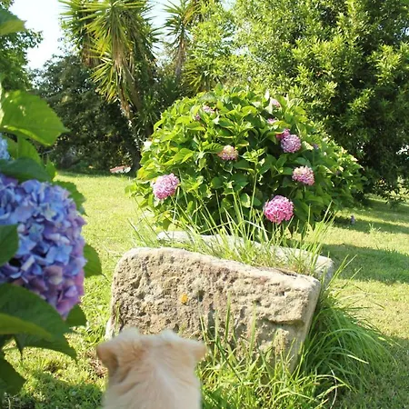 Casa Rural Astei Farm stay Muxika