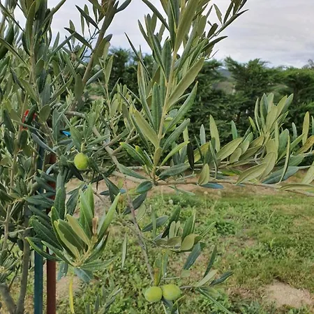 Astei Nekazalturismoa בית חווה