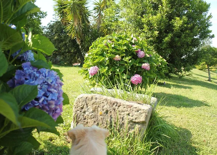 Astei Farm stay Muxika