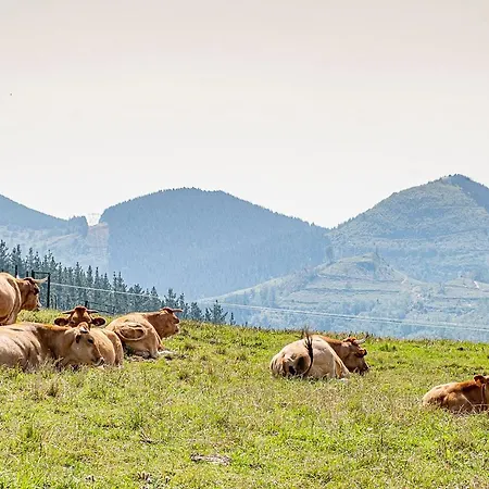 Vakantieboerderij Astei Nekazalturismoa